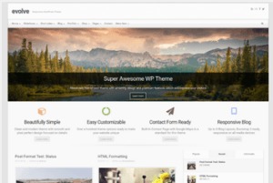 Los mejores themes gratuitos de WordPress: Evolve