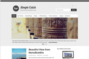 Los mejores themes gratuitos de WordPress: Simple Catch